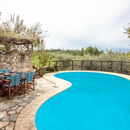 Forest Stone With Pool
