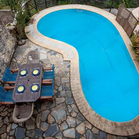Forest Stone With Pool Apartment