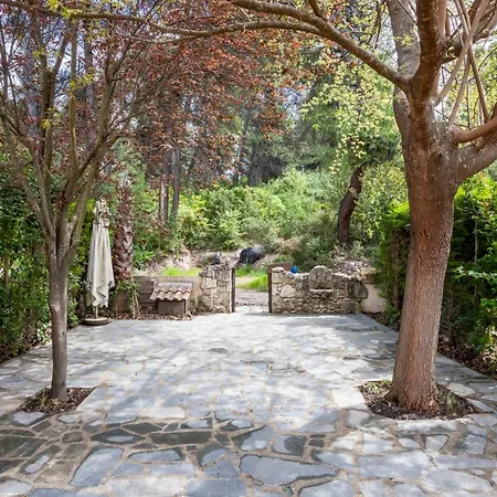 Apartment Forest Stone With Pool Kriopigi